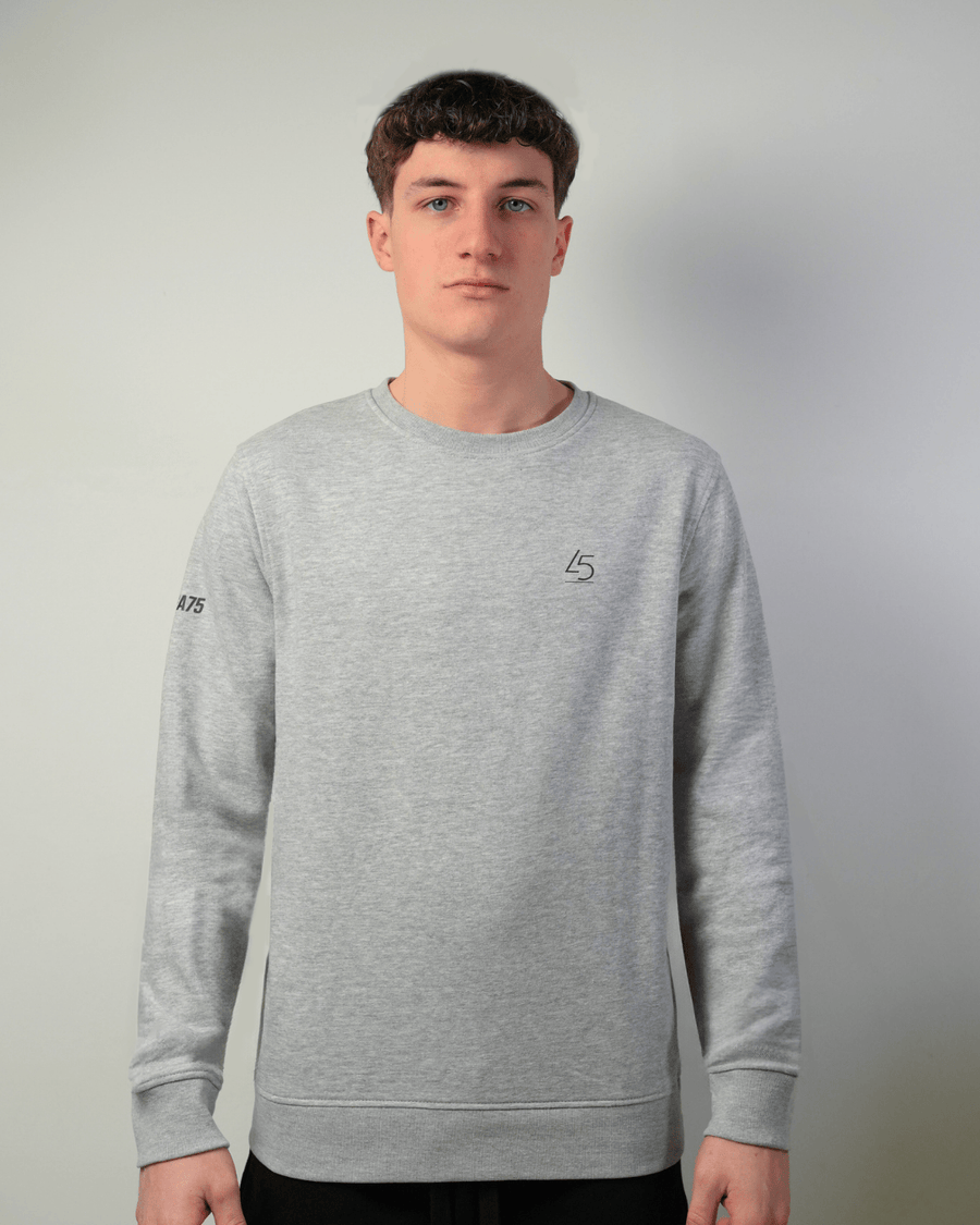 Felpa girocollo in cotone grigio mélange